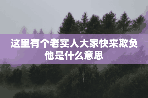 这里有个老实人大家快来欺负他是什么意思